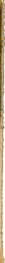 head