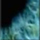 Organic Matter